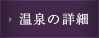 温泉の詳細