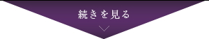 続きを見る