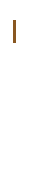 新着情報